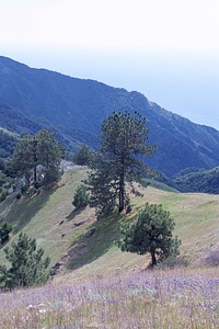 Area desert 