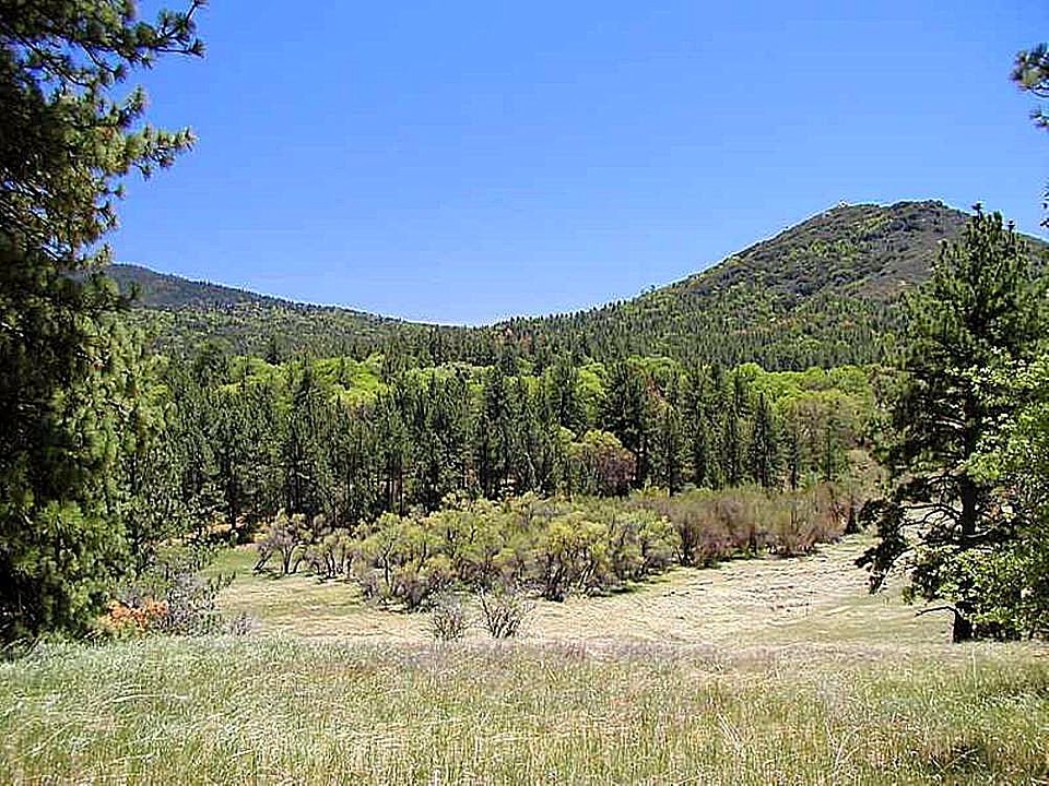 Blue blue sky camp