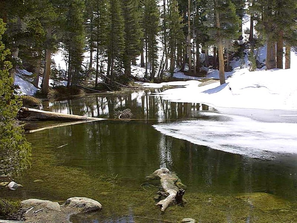 Lakes snow trees