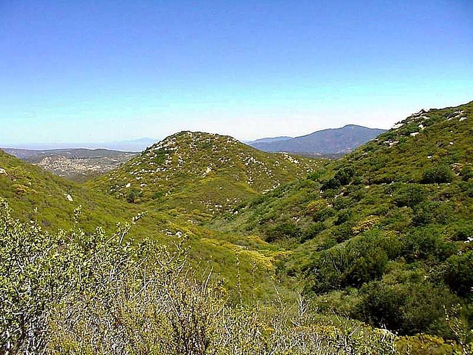 Greenery hill 