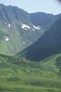 Greenery hill 