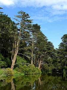 Gate lake park photo