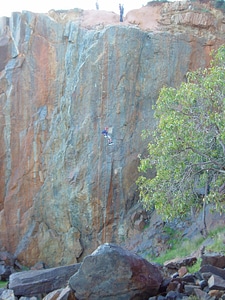 Black Currant hill mountain climber photo