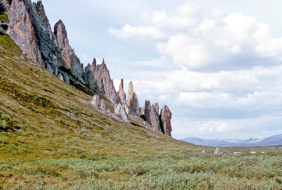 Arctic domestic national park