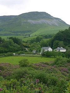 Greenery hill 