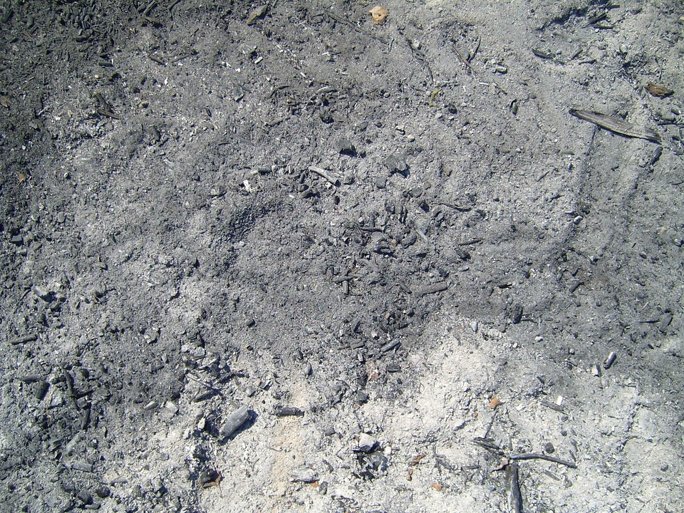 Background gray 