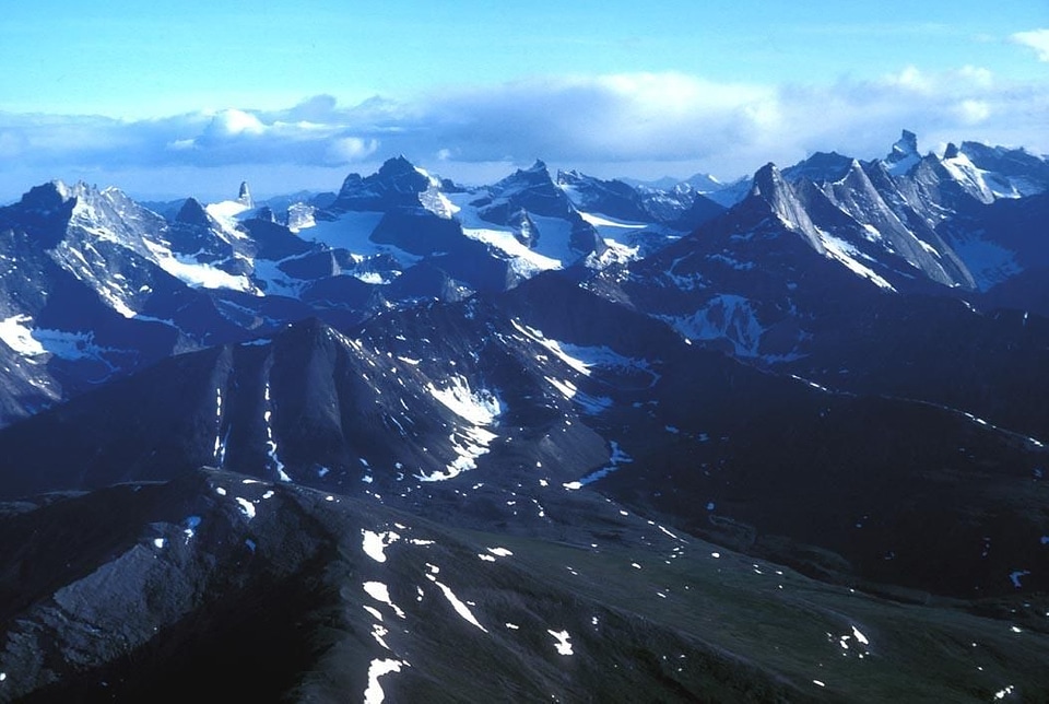 Alaska arctic domestic