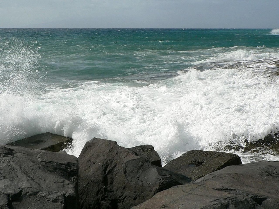 Coast ocean waves