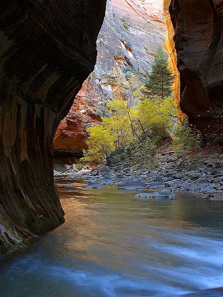 Domestic national park park
