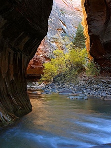 Domestic national park park