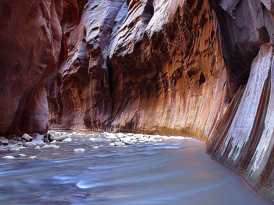 Domestic national park park