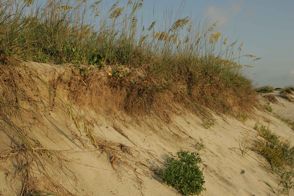 Beach Erosion domestic erosion