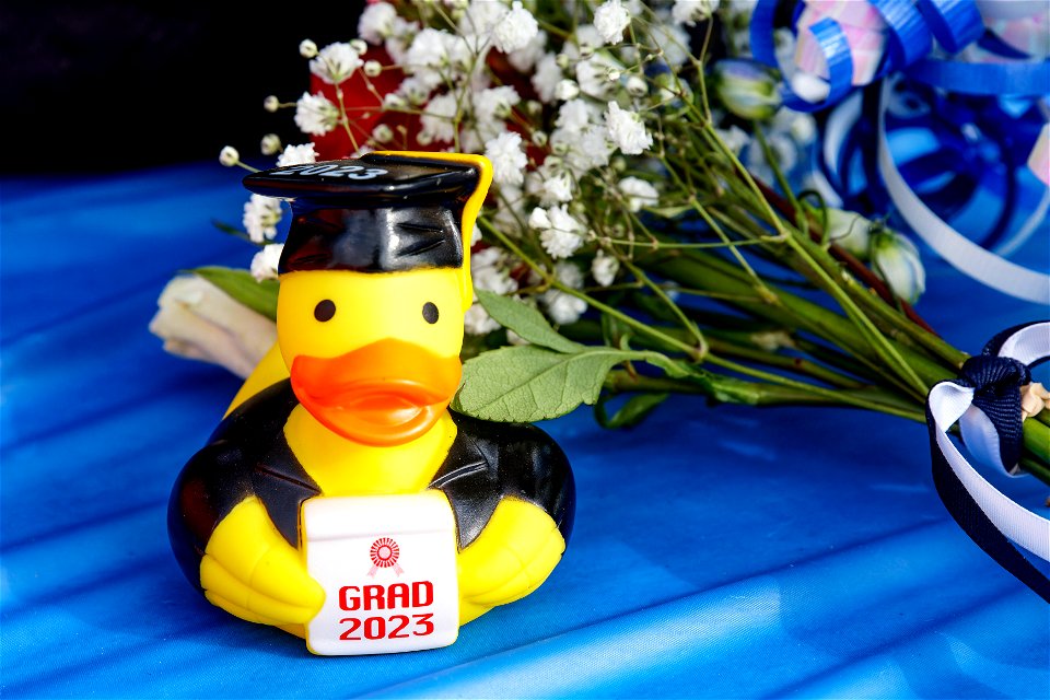 IMG_3074-CR3_DXO3