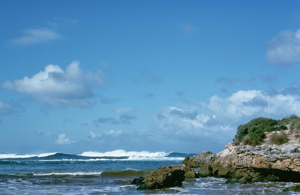 Australian coast habitat