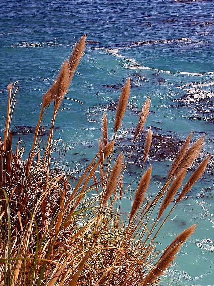 Ocean  