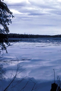 Estate lake photo