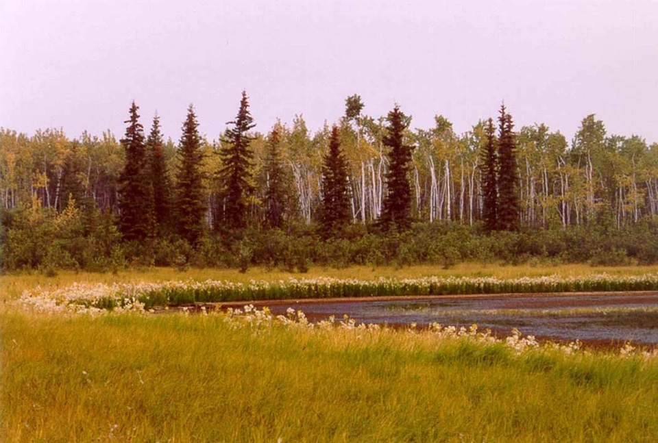 Around estate lake