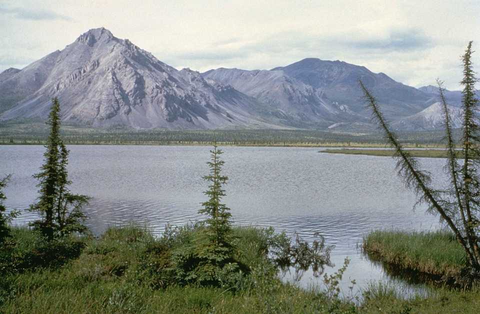 Arctic estate lake