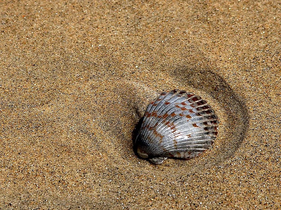 Sand  