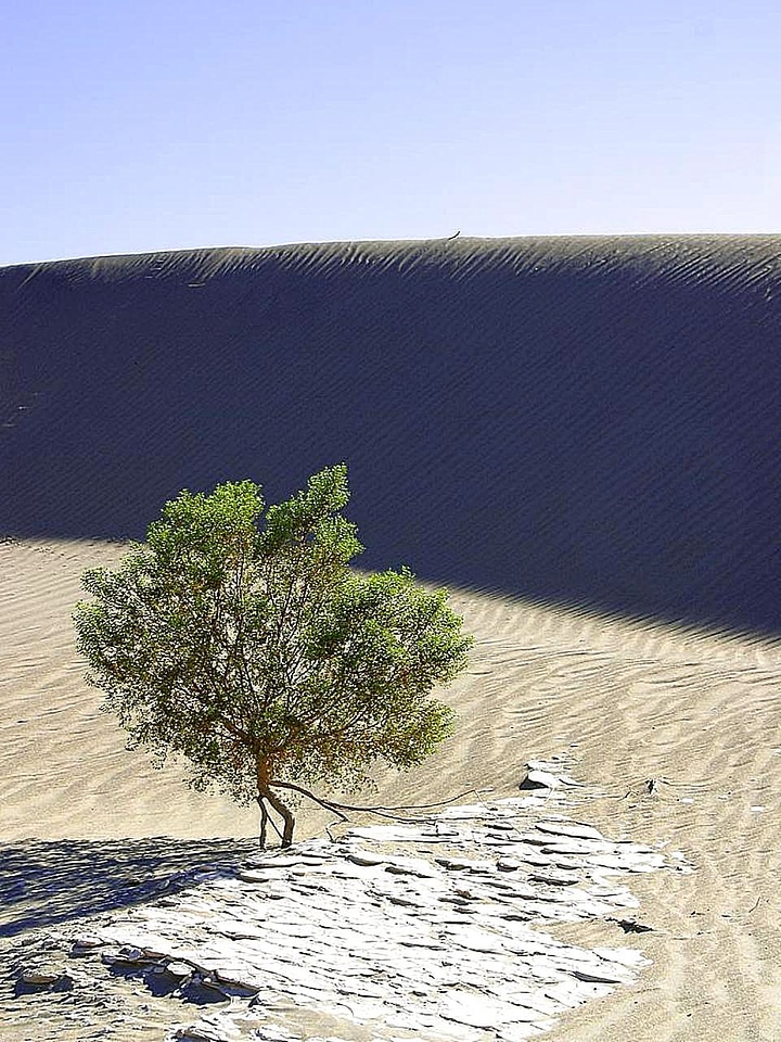 Desert sand 