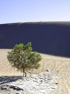 Desert sand 