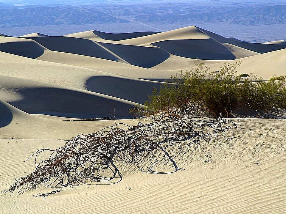 Desert sand 