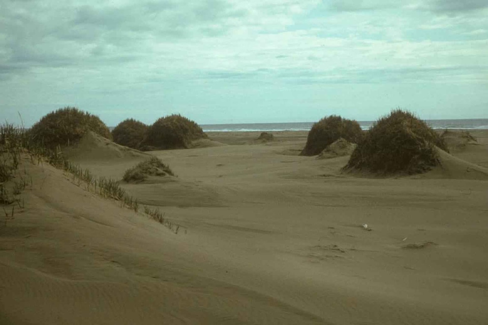 Island sand 