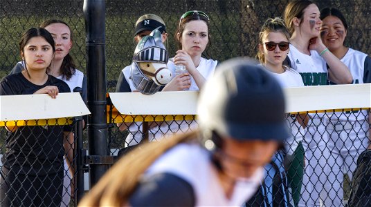 IMG_8214-CR3_DXO3