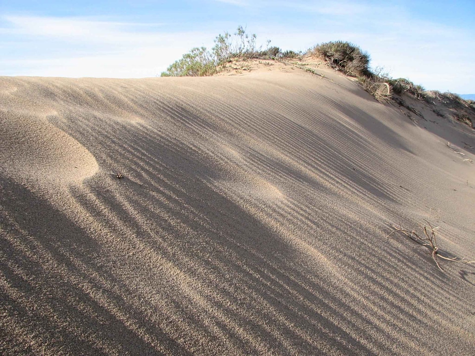 Paradise sand scenic