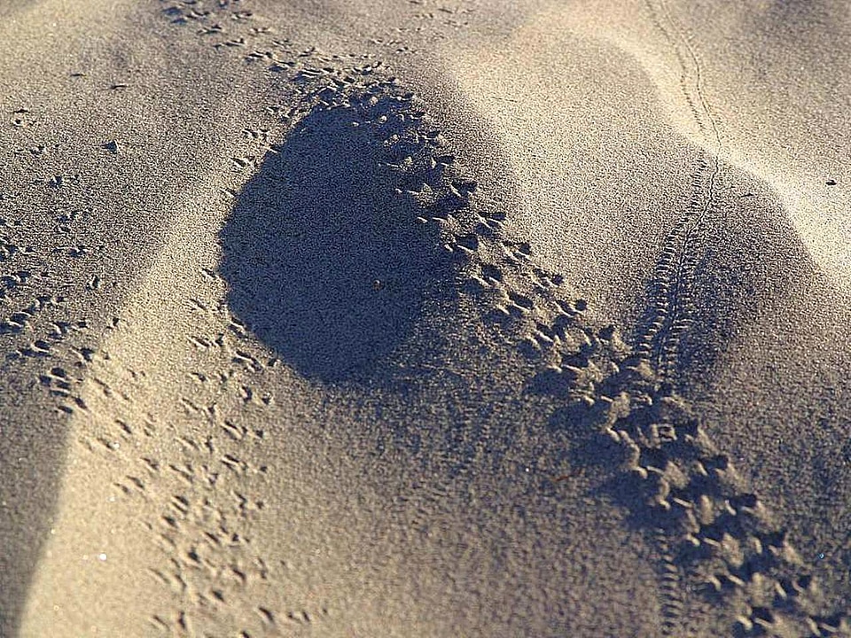 Sand  
