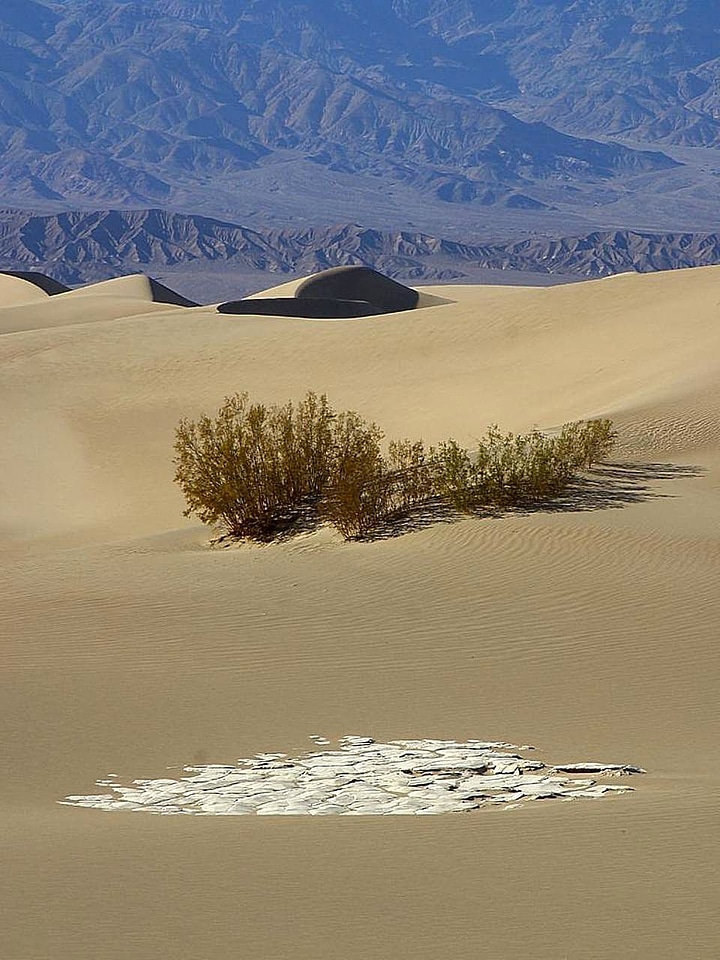 Desert  