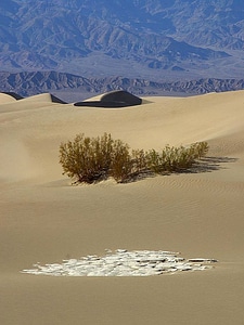 Desert  