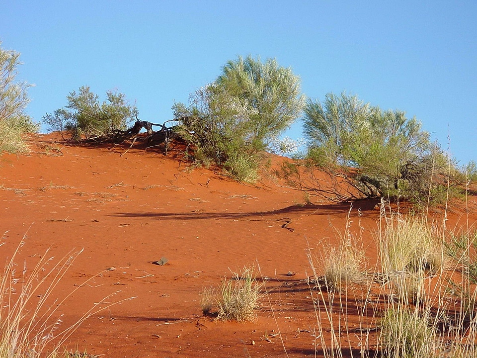 Red sand 