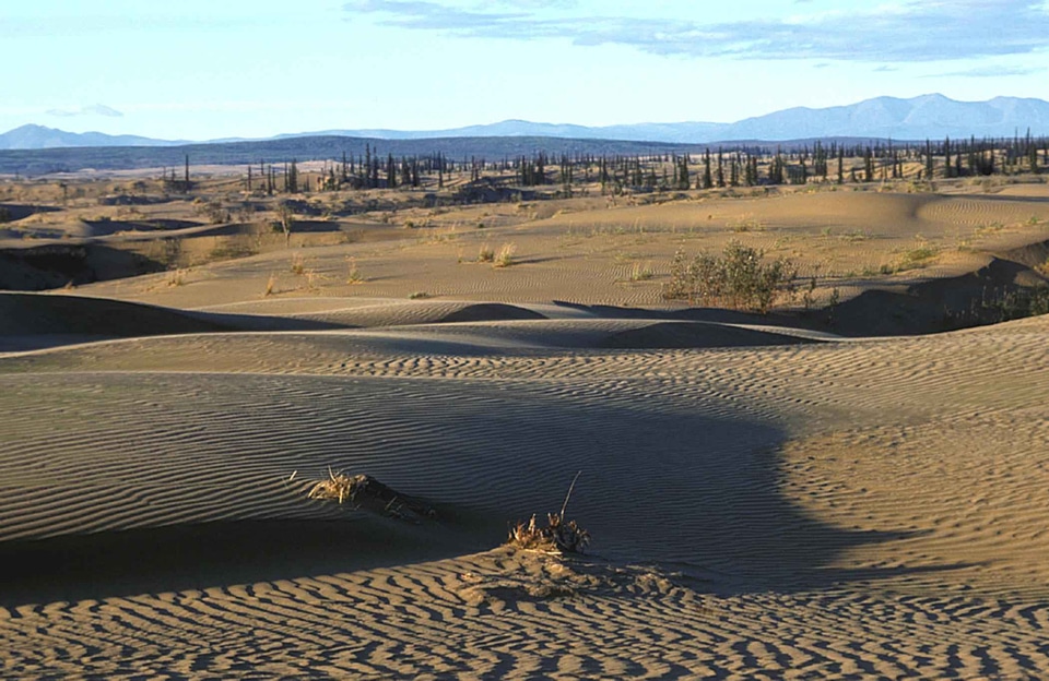 Sand  