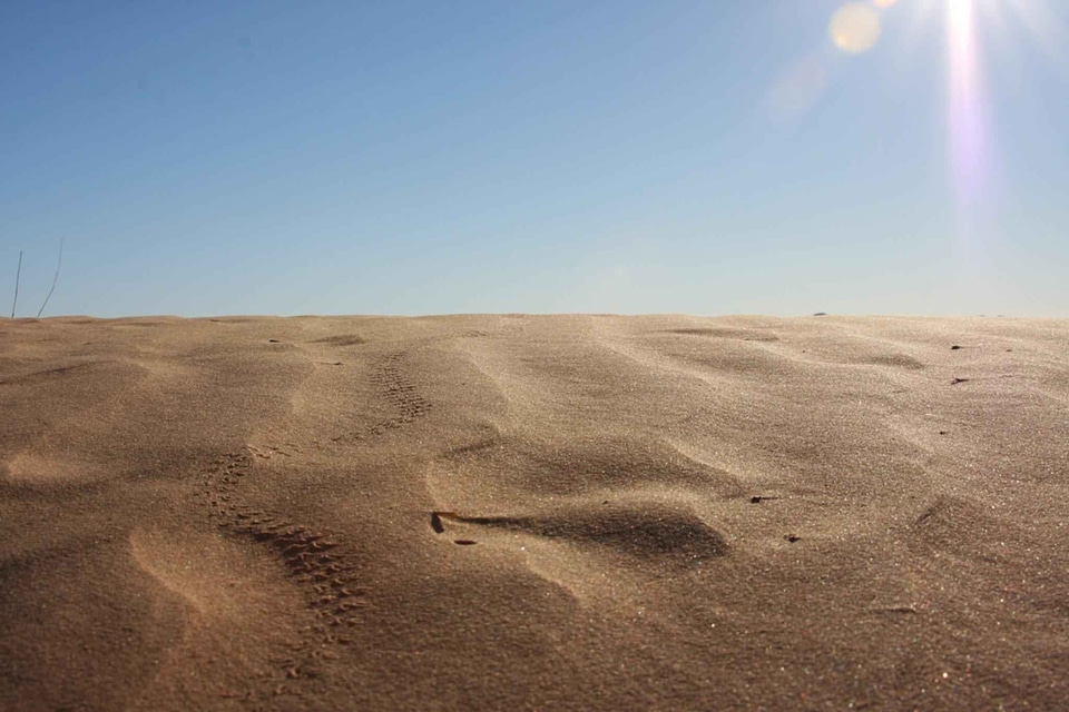 Domestic national park park