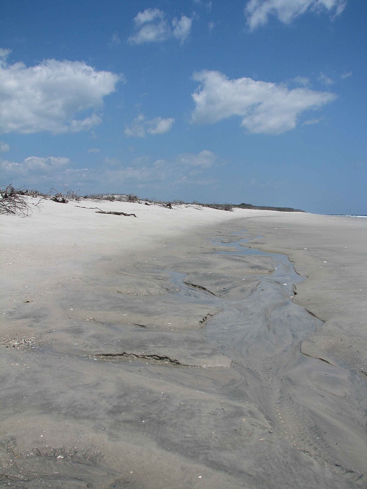 Sand shoreline 