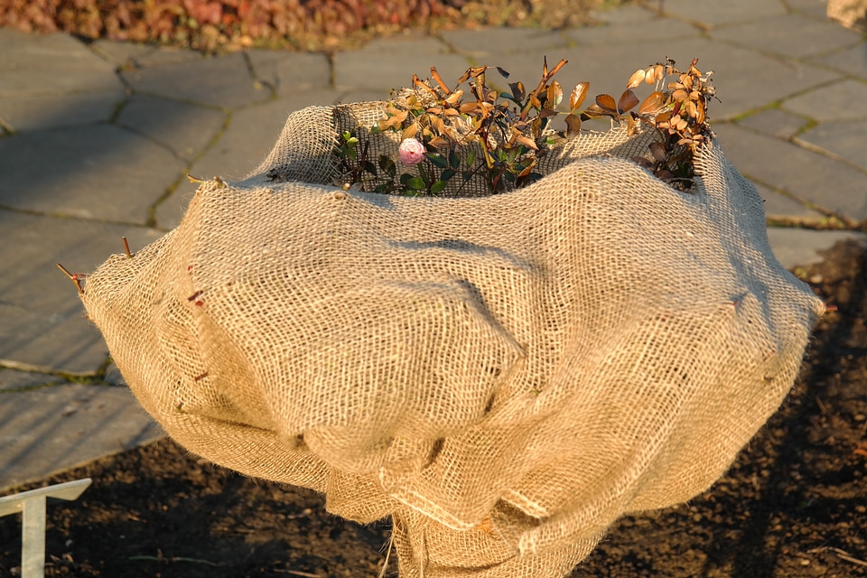 Protection packed frost protection
