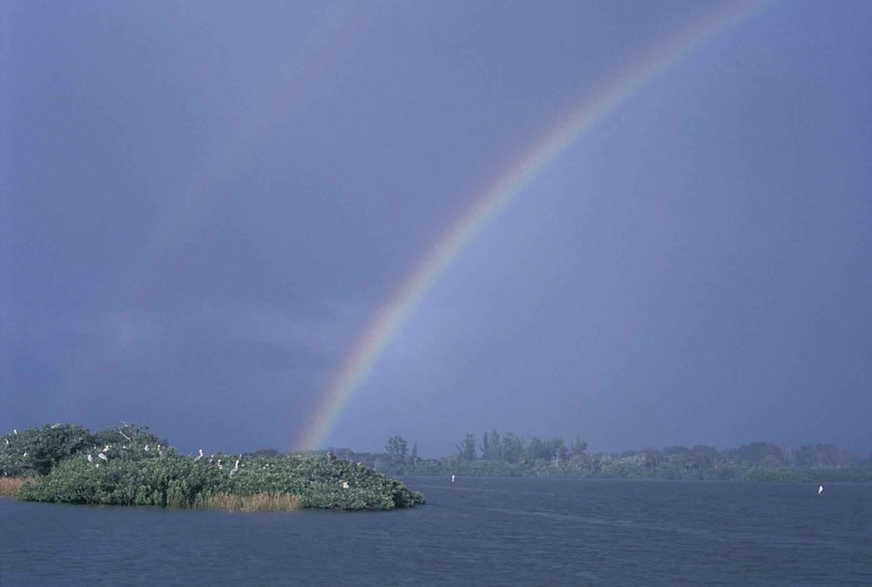 Rainbow  