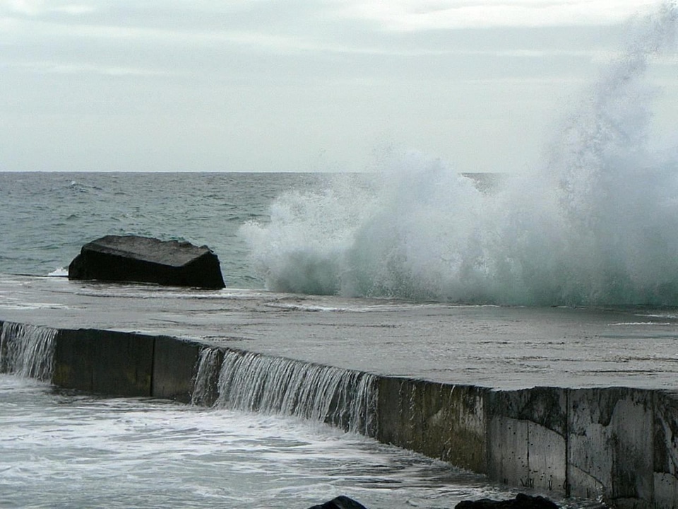 Dock wave 