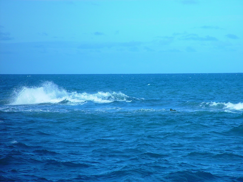 Mare open wave
