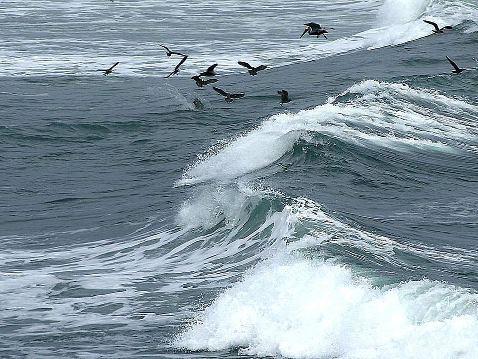 Background waves 
