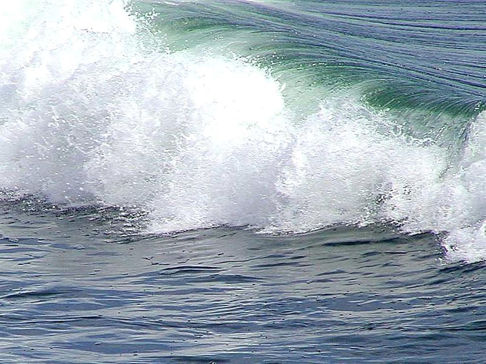 Ocean wave 