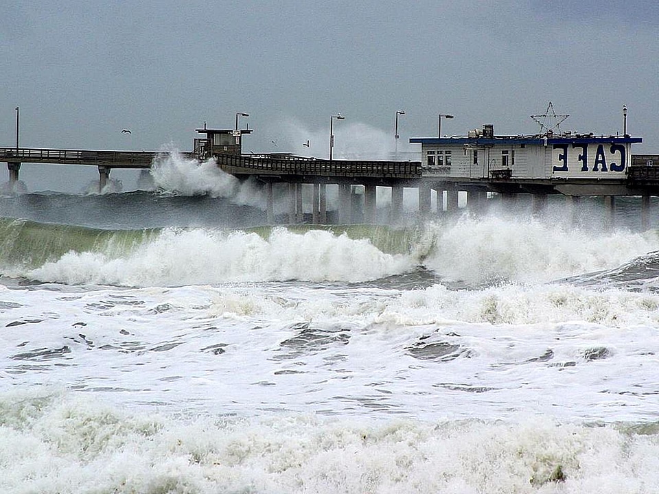 Ocean seagulls waves