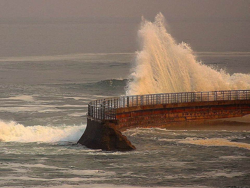 Mare phylum waves