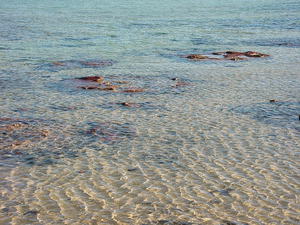 Water  