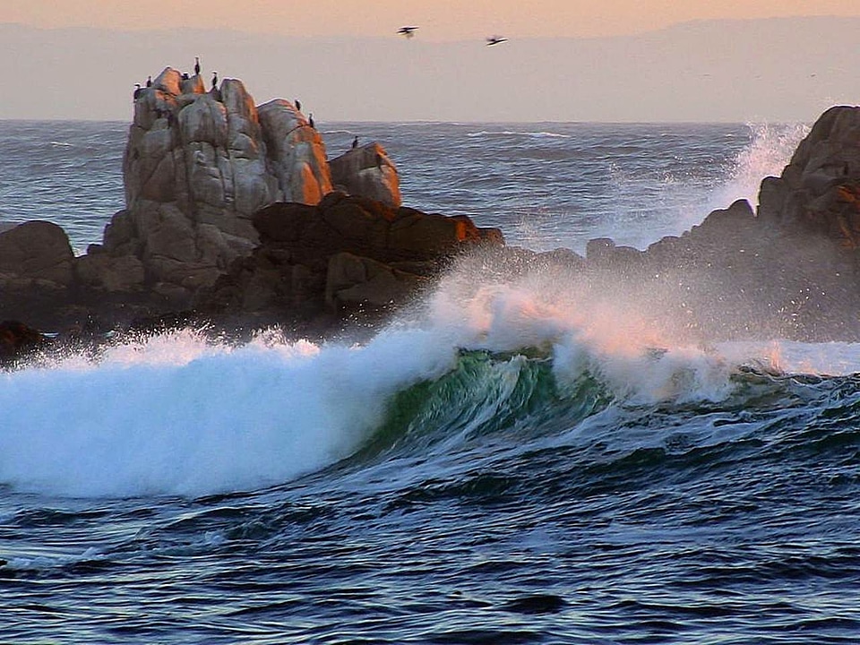 Ocean waves 