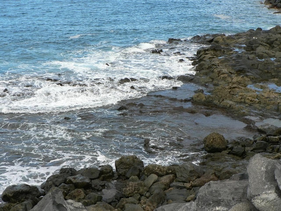Mare  