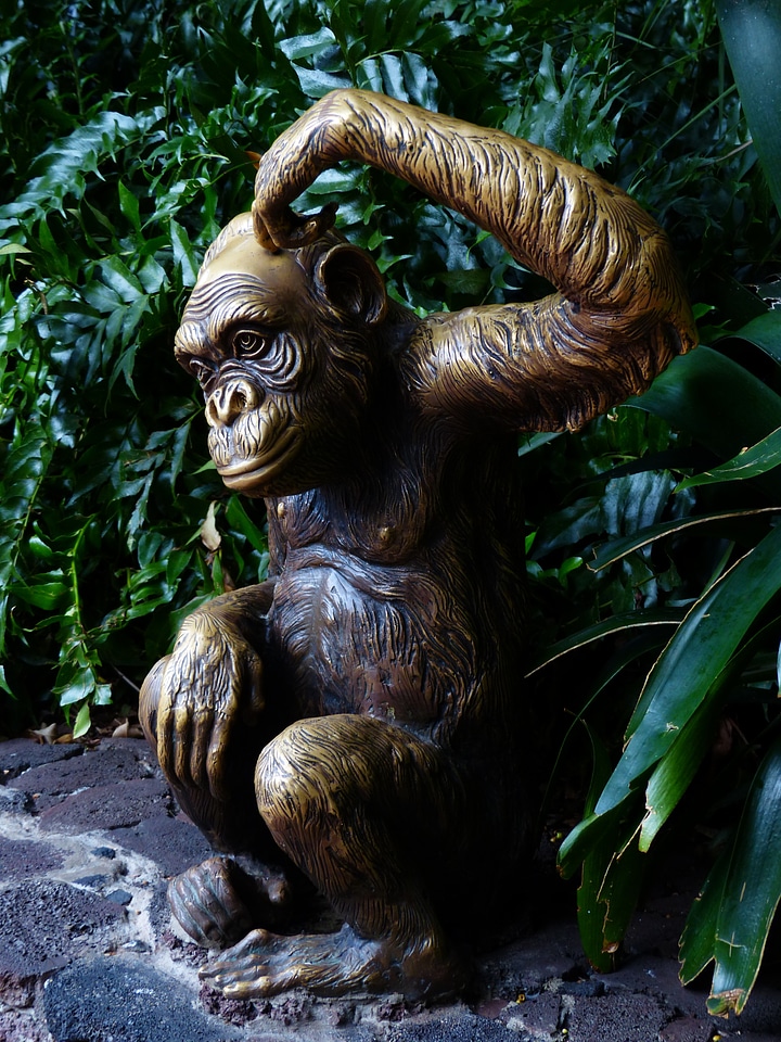 Consider chimpanzee bronze statue