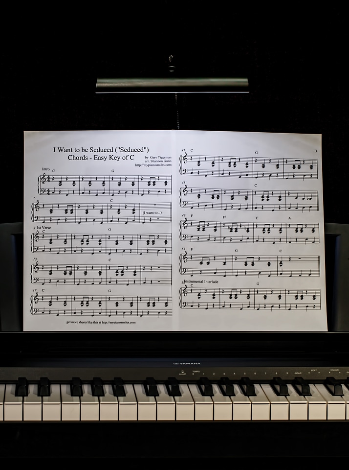Piano pianist practice