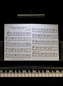 Piano pianist practice